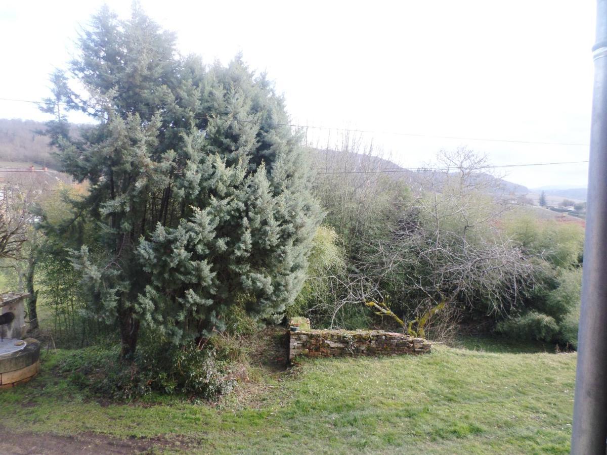 Les Marronniers Bed & Breakfast La Chapelle-sous-Brancion Exterior photo